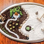 Create a Mini Zen sand Garden